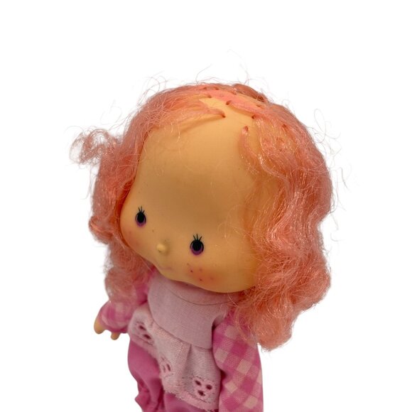 Raspberry Tart Strawberry Shortcake Doll & Pet Chiffon Vintage - Picture 4 of 4